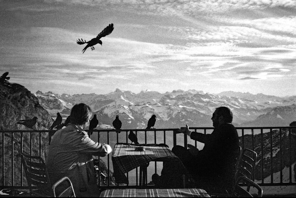 Rod & Chris with alpine crows 7000ft up on Mount Pilatus 1980