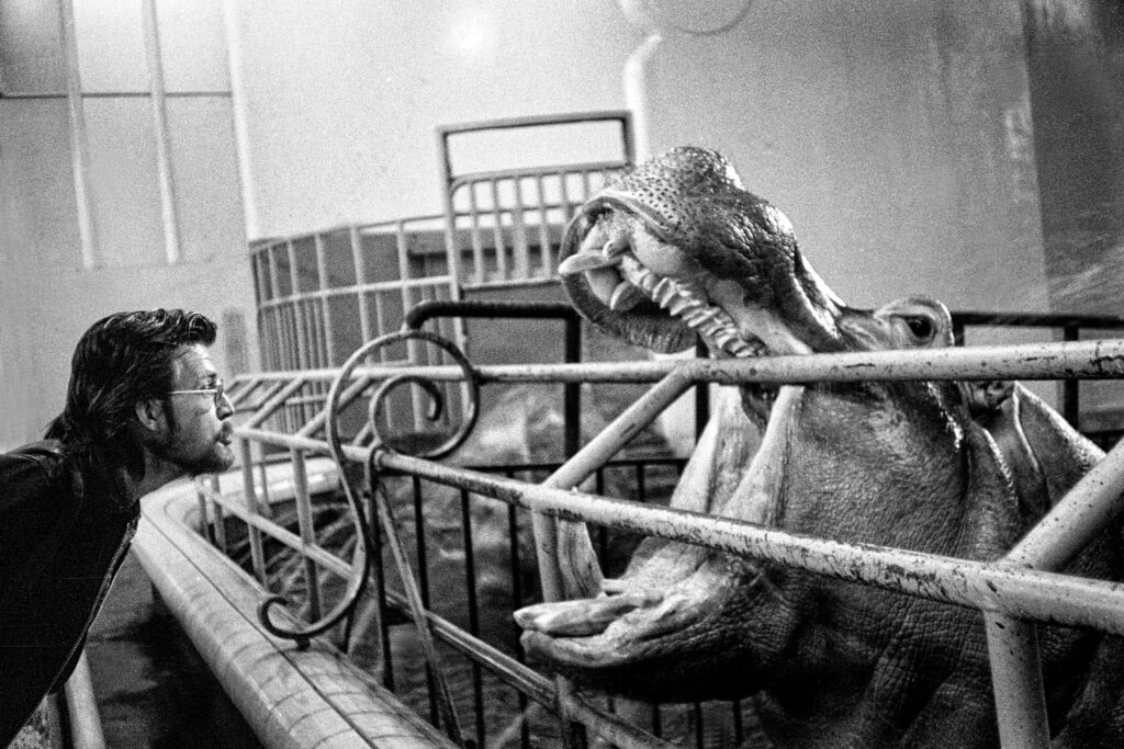 Chris with hippo Amsterdam Zoo ‘WE’ 1978
